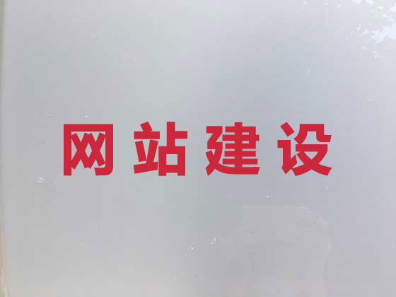 盘锦网站设计开发
